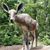 Jan Harris's profile image