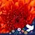 LaTonnia Tolson's profile image