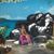Sherry DesCoteaux's profile image
