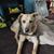 Brenda Coblentz's profile image