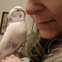 Mary Gwaltney's profile image