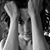 Kimberly Ann's profile image