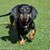 Monty Hoffner's profile image