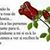 Juan Alverto Cazares's profile image