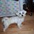 Mary Henkel's profile image