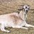 MaLisa Fender Rembowski's profile image