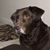 Terri Luedtke's profile image