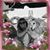 Ann Vedilago's profile image