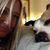 Kelly Ulrich's profile image