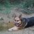 Lisa Portis Tickle's profile image