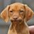 Neil Rozett's profile image