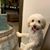 Tami Wilson's profile image