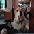 Jeff Schimke's profile image