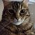 Sarah Fischer's profile image