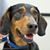 Douglas Beecham's profile image