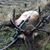 Dale Paeschke's profile image