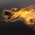 Deb Lake's profile image