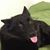 Muji Goodman's profile image