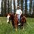 Tim Linstrom's profile image