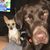 Trish Crane Rawson's profile image