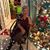 Nereida Martinez's profile image