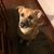 Steve Graves-Wesolosky's profile image