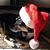 Diane Rose's profile image