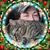 Susan Smith Bedell's profile image