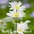 Nancy Maples Stephenson's profile image