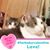 Jenny Clemons's profile image