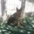 Mirta Rosales's profile image