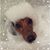Weiden-Adelmund Lori's profile image