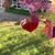 Kim Brown's profile image