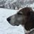 Shawn E Hauck's profile image