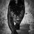 Gustavo C Sanchez's profile image