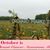 Kimberly Blanchard Jabrocki's profile image