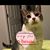 Teri Mathews Cunningham's profile image
