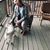 Lisa Devlin Patten's profile image