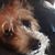 Kirsten Edwards's profile image