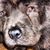 Patrick Comfort's profile image