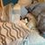 Susan Fryrear Albanese's profile image