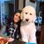 Anna Cardoza's profile image