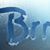 Rhonda S. Korkut's profile image