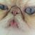 Kathy Tomlin's profile image