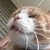 John C Vogt's profile image