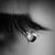 Jaime Nemec's profile image