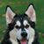 Bruce Bengry's profile image