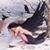 Claudia Melendez's profile image