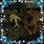 Jody Sherman's profile image