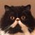 Beth Stewart Lehmann's profile image